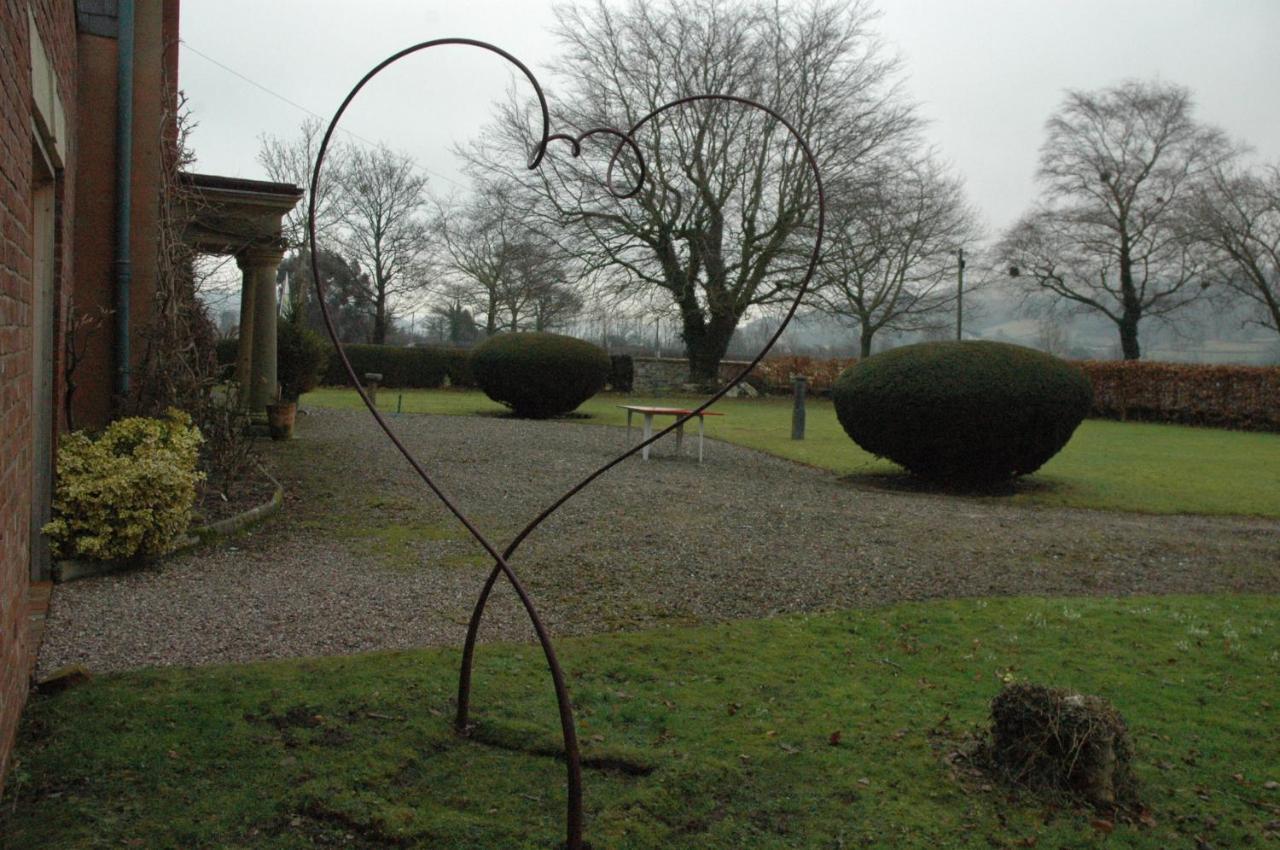 Caersws Mid Wales Arts B&B المظهر الخارجي الصورة