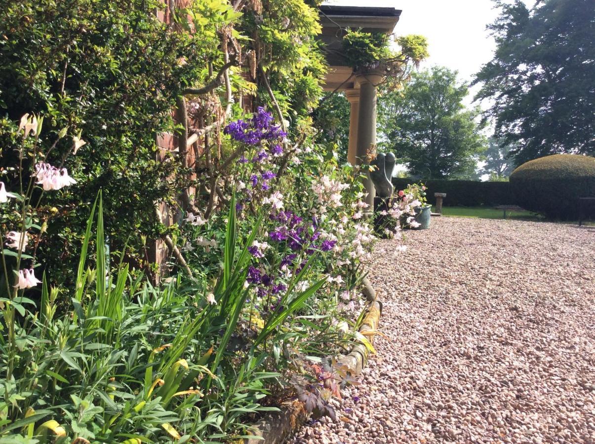 Caersws Mid Wales Arts B&B المظهر الخارجي الصورة