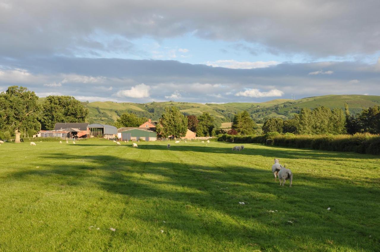 Caersws Mid Wales Arts B&B المظهر الخارجي الصورة